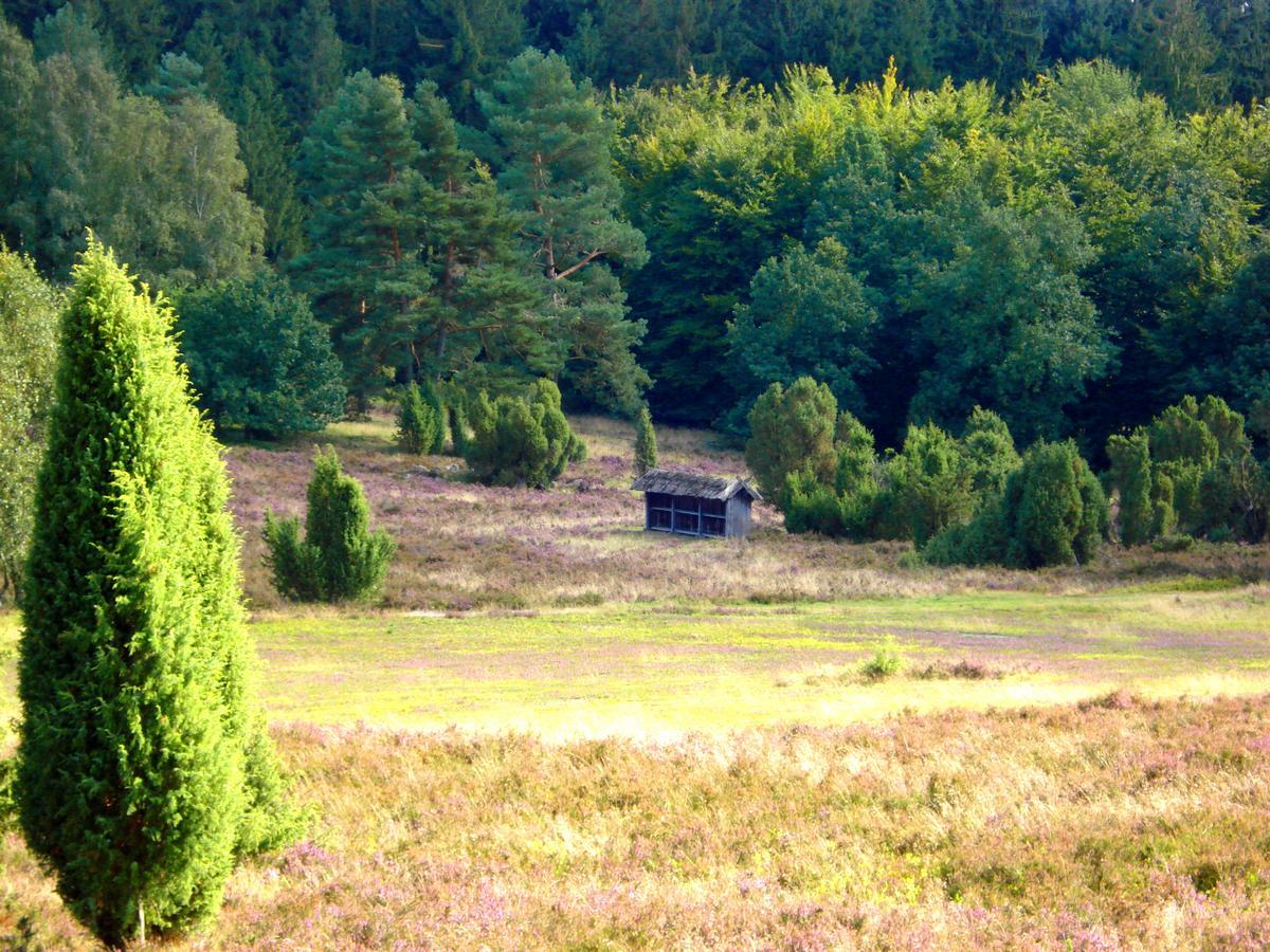 Landgasthaus Zum Naturschutzpark Hotell Bispingen Exteriör bild