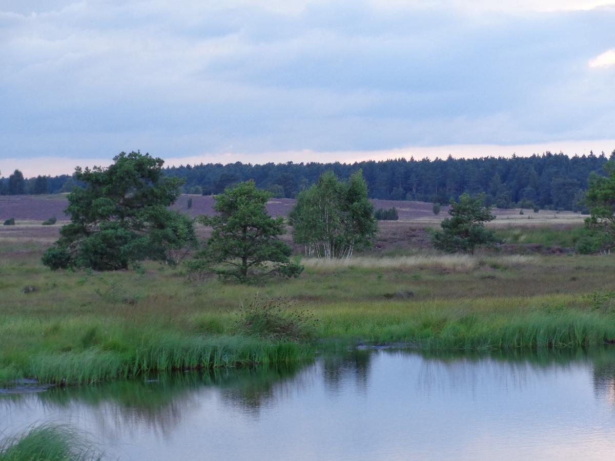 Landgasthaus Zum Naturschutzpark Hotell Bispingen Exteriör bild