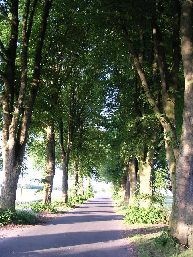 Landgasthaus Zum Naturschutzpark Hotell Bispingen Exteriör bild